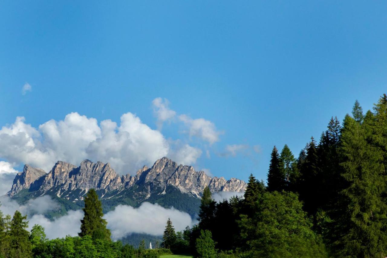 Chalet Del Capriolo 보도 카도레 외부 사진